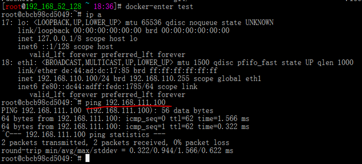 docker新建自定义网桥，实现不同主机容器互联_主机_03