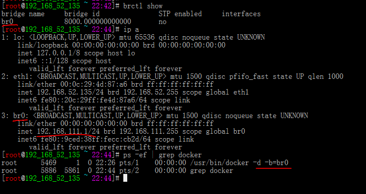 docker新建自定义网桥，实现不同主机容器互联_主机_02