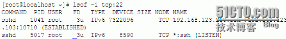 linux命令之lsof_lsof_16