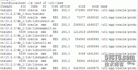 linux命令之lsof_Linux_03