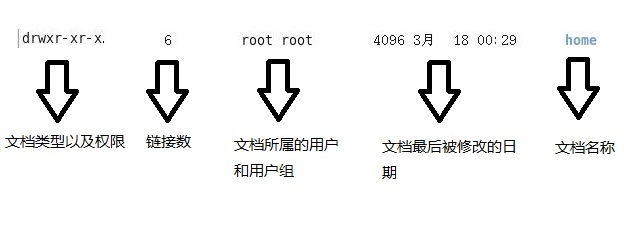 Linux用户权限（随笔）_文件_04