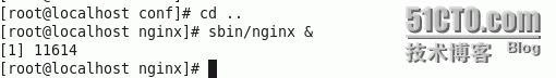  CentOS下安装Nginx_虚拟机_12