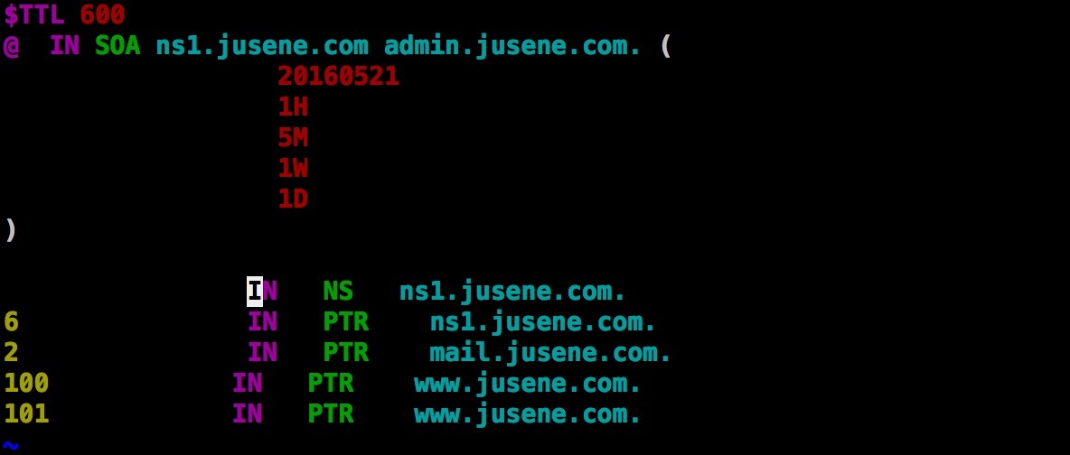 DNS（BIND） 正向解析   反向解析  基本服务的搭建_配置文件_04