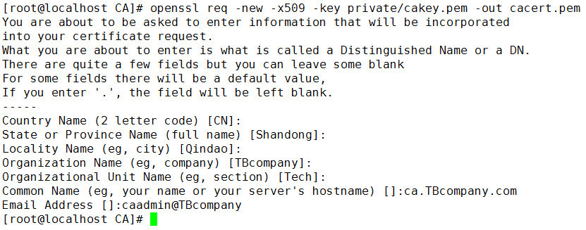 Linux上使用openssl实现模拟CA_数字证书