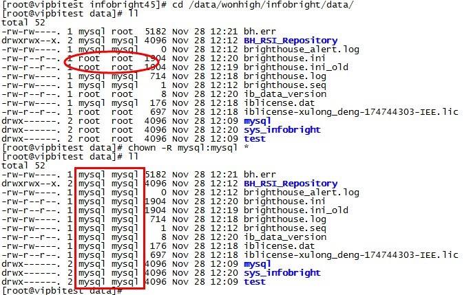 MySQL启动不成功_IT