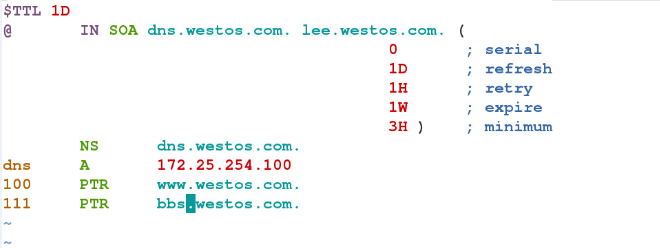 DNS解析配置_DNS_03