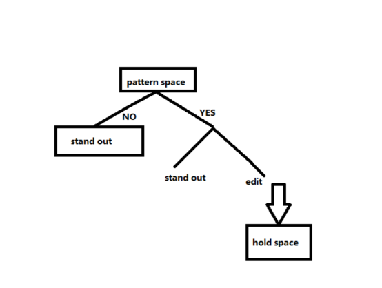 Linux sed基础用法总结_基础_02