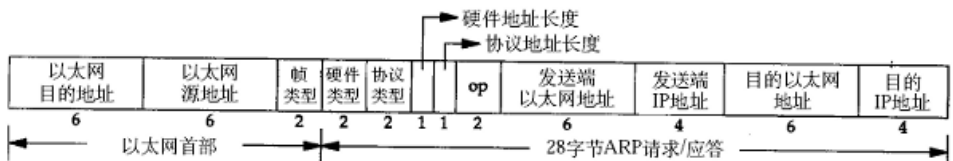 Linux系统开发10  Socket API编程1  大端小端 TCP模型 _Linux系统开发10  Socket _04