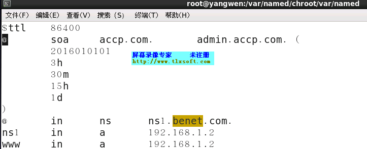 第二章 Web网站服务（二）——搭建基于域名的虚拟web主机_linux_04