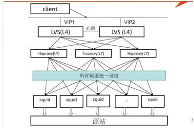 III 18 squid_squid_04