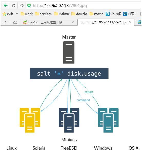 III 18 squid_server_12