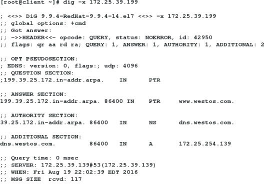 DNS相关配置_DNS_08