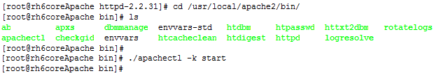 RedHat 6 安装配置Apache 2.2_apache_18
