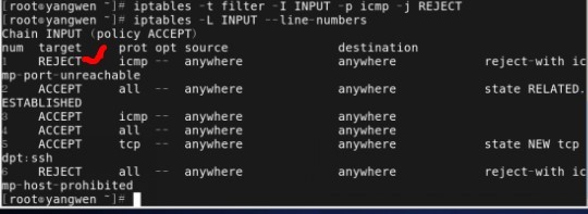 深入研究iptables防火墙基础_杨文_06