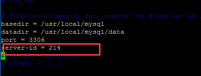 myaql 主从复制_mysql_02