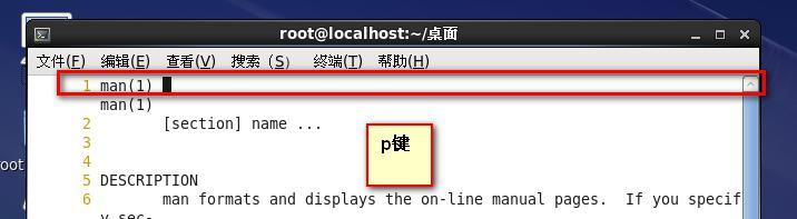 第二章  Linux   目录和文件管理_目录  文件管理_12