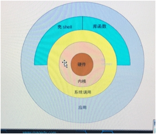 bash变量和逻辑运算_bash