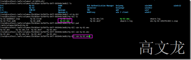 Vmware Vsphere (ESXI)嵌套虚拟化_Vsphere_05