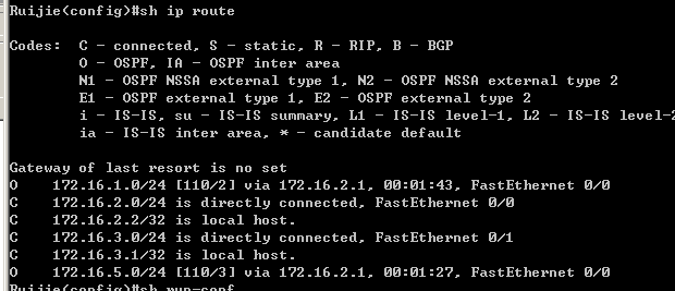 ospf协议的应用_实验目的_13