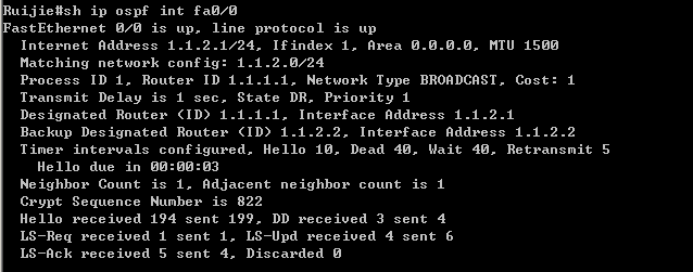 实验九：OSPF基本配置_交换机_15