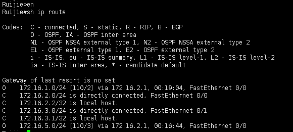 OSPF 基本配置_交换机_23