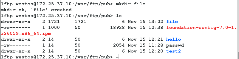 linux笔记 2-9 ftp文件共享服务_ftp_36