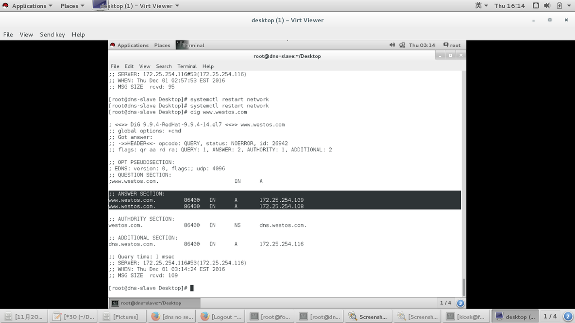 dns,mariadb.邮件服务_mysql_20