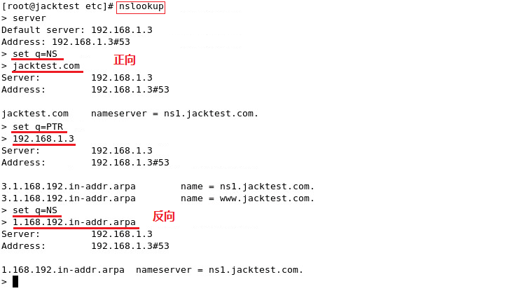 Linux命令：DNS应用_nslookup