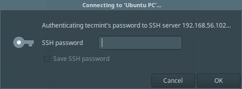 输入 SSH 密码