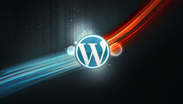 WPSeku：一个找出WordPress安全问题的漏洞扫描器