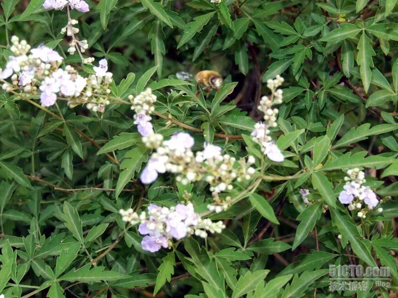 6月生存岛一日游_休闲_08