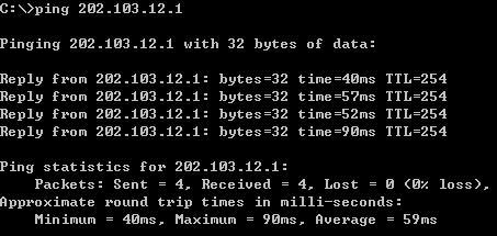 使用DynamipsGUI和Vmware搭建广域网测试环境_DynamipsGUI_08