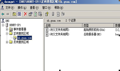 windows2003 server 上配置dns服务_server_20