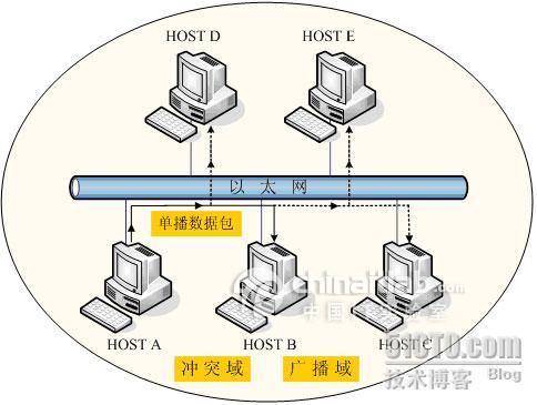 冲突域、广播域_域