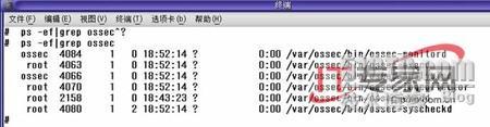 Solaris网络环境部署HIDS配置实战_HIDS_19