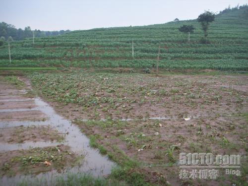 亲历山洪--51驻滇办小罗发回报道二_休闲_06