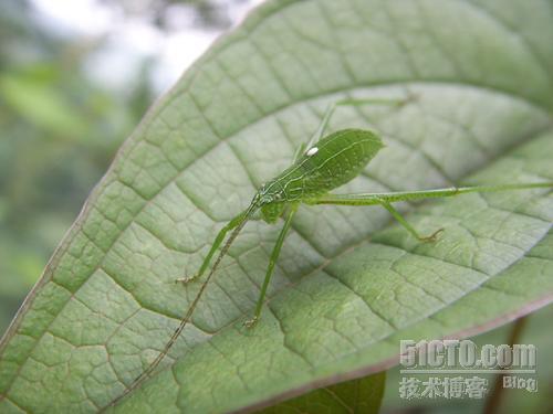 山乡里的新奇世界--51驻滇办小罗发回报道三_矿山_30