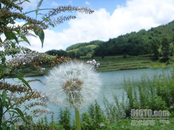 “如果可以，我要到这里来拍外景婚纱！”--51驻滇办小罗发回报道四_休闲_19