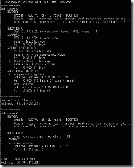 nslookup命令使用技巧_nslookup_07