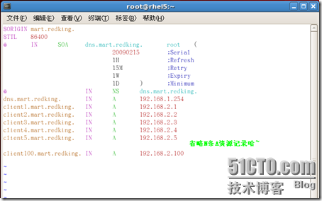 [RHEL5企业级Linux服务攻略]--第4季 DNS服务全攻略_RHEL5服务攻略_42