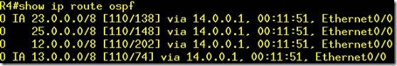 ospf实验笔记（三）_休闲_39