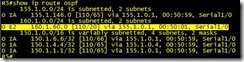 OSPF实验笔记（五）_实验_46