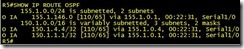 OSPF实验笔记（五）_OSPF_48