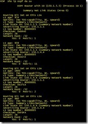 OSPF实验笔记（五）_OSPF_50