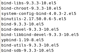 RHEL5 配置DNS_服务