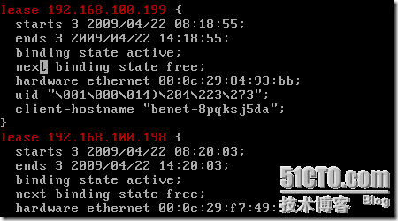 LINUX网络服务   DHCP服务_职场_30