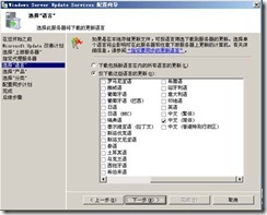 wsus3.0 安装与部署_休闲_28