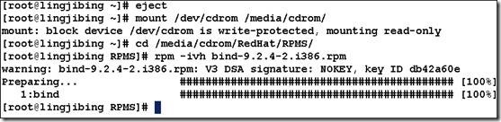 如何利用Linux构建免费的DNS服务器_linux_02