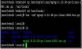 Linux下Apache与MySQL+PHP的综合应用案例