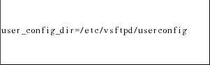 RHEL4-FTP服务（五）配置虚拟用户访问vsftp服务器_(下)_ftp服务